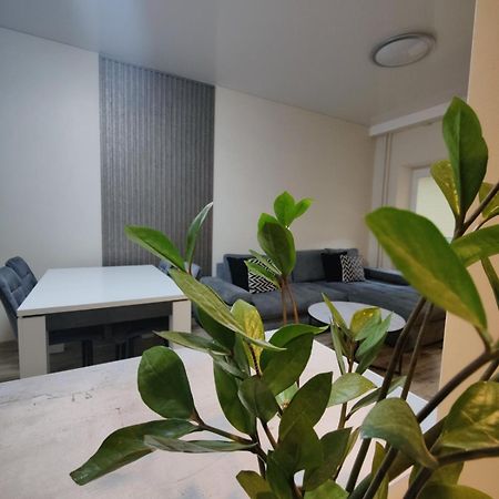 V15 Apartment Druskininkai Buitenkant foto