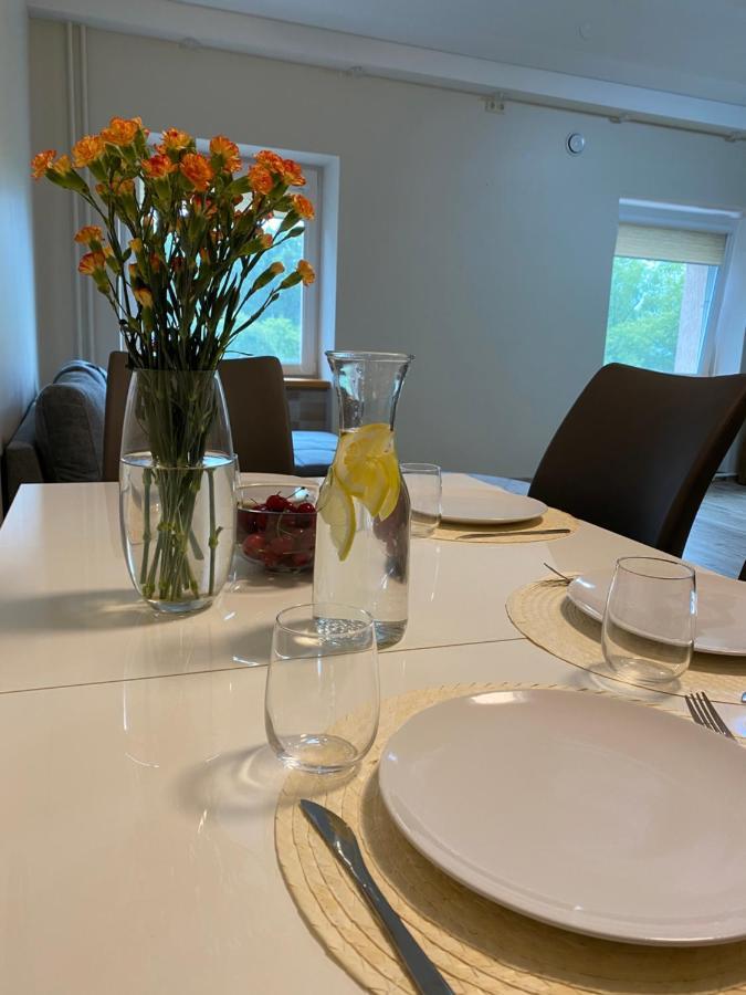 V15 Apartment Druskininkai Buitenkant foto