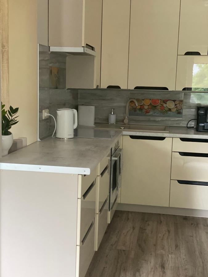 V15 Apartment Druskininkai Buitenkant foto