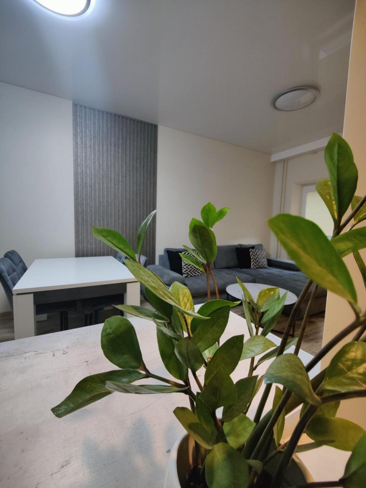 V15 Apartment Druskininkai Buitenkant foto